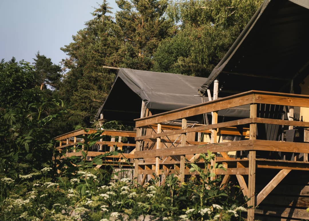 Le Base Lodge, construit sur pilotis au milieu des fleurs sauvages